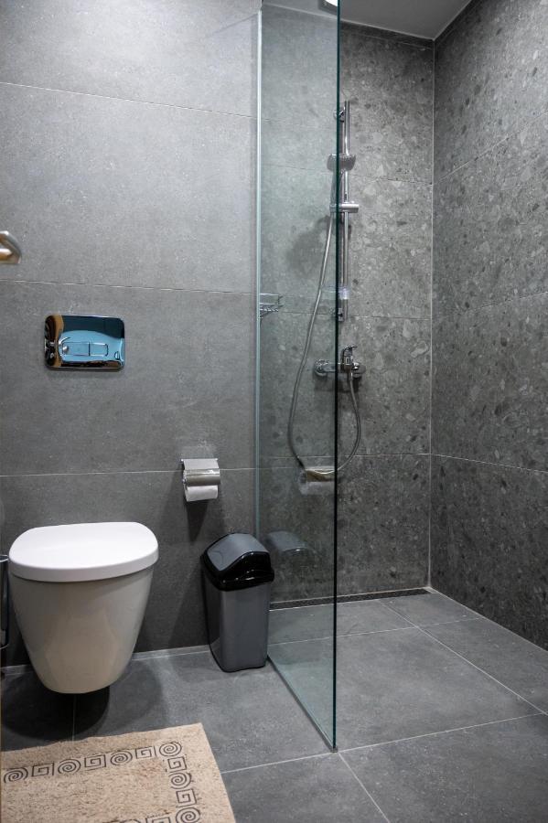 Modern And Spacious In The Centre Apartment Sofia